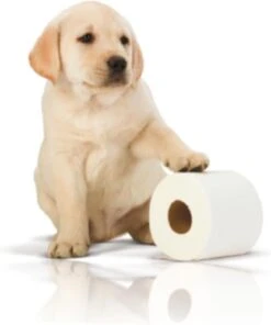 Page Toiletpapier - 32 Rollen - Kussenzacht Wc Papier (3-laags) - Voordeelverpakking -Huishoudelijke Benodigdheden 1001x1200 2