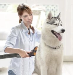 TurboTronic VS180 Draadloze Steelstofzuiger Met Handstofzuiger - Rood 26 TurboTronic VS180 Draadloze Steelstofzuiger Met Handstofzuiger - Rood -Huishoudelijke Benodigdheden 1161x1200 4