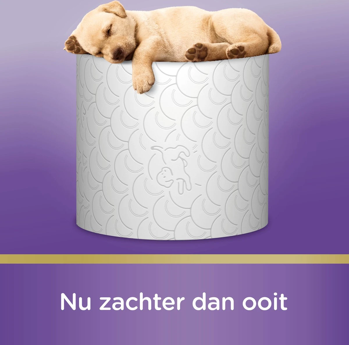 Page Toiletpapier - Kussenzacht Wc Papier - Voordeelverpakking - 24 Rollen 10 Page Toiletpapier - Kussenzacht Wc Papier - Voordeelverpakking - 24 Rollen - Afbeelding 10