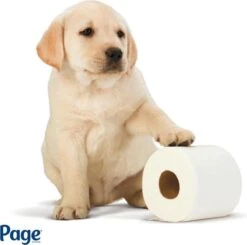 Nieuwkomers -Huishoudelijke Benodigdheden 1200x1188 13