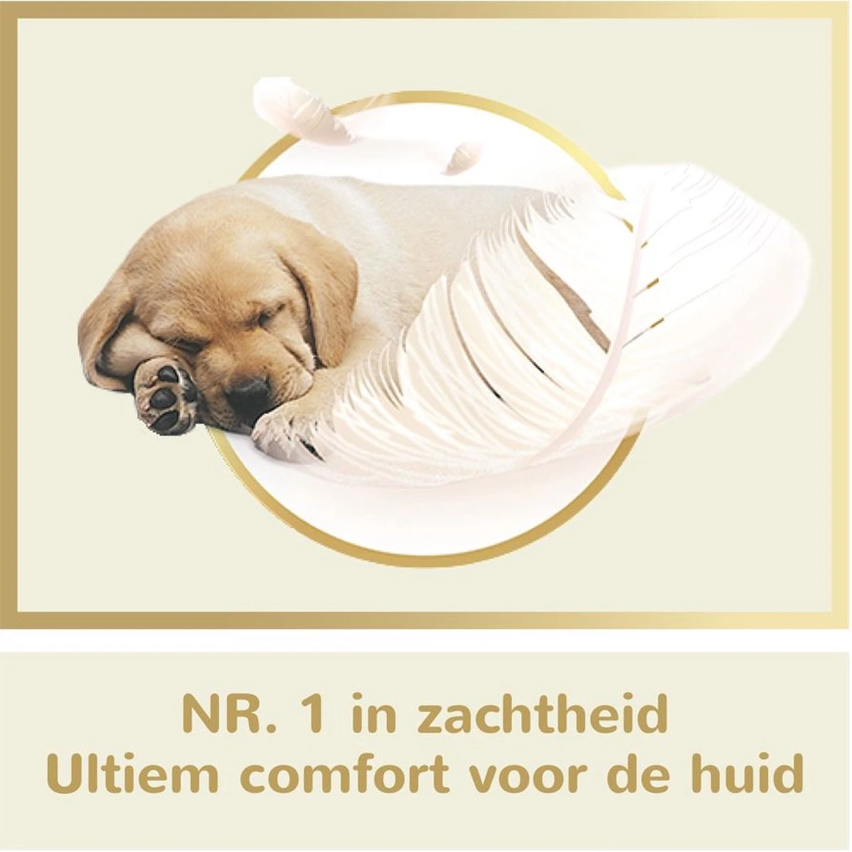 Page Puur Toiletpapier - 24 Rollen - Extra Duurzaam Wc Papier - Voordeelverpakking 3 Page Puur Toiletpapier - 24 Rollen - Extra Duurzaam Wc Papier - Voordeelverpakking - Afbeelding 3