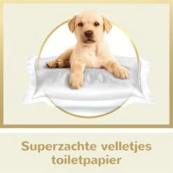 Page Puur Toiletpapier - 24 Rollen - Extra Duurzaam Wc Papier - Voordeelverpakking 13 Page Puur Toiletpapier - 24 Rollen - Extra Duurzaam Wc Papier - Voordeelverpakking -Huishoudelijke Benodigdheden 1200x1200 1590