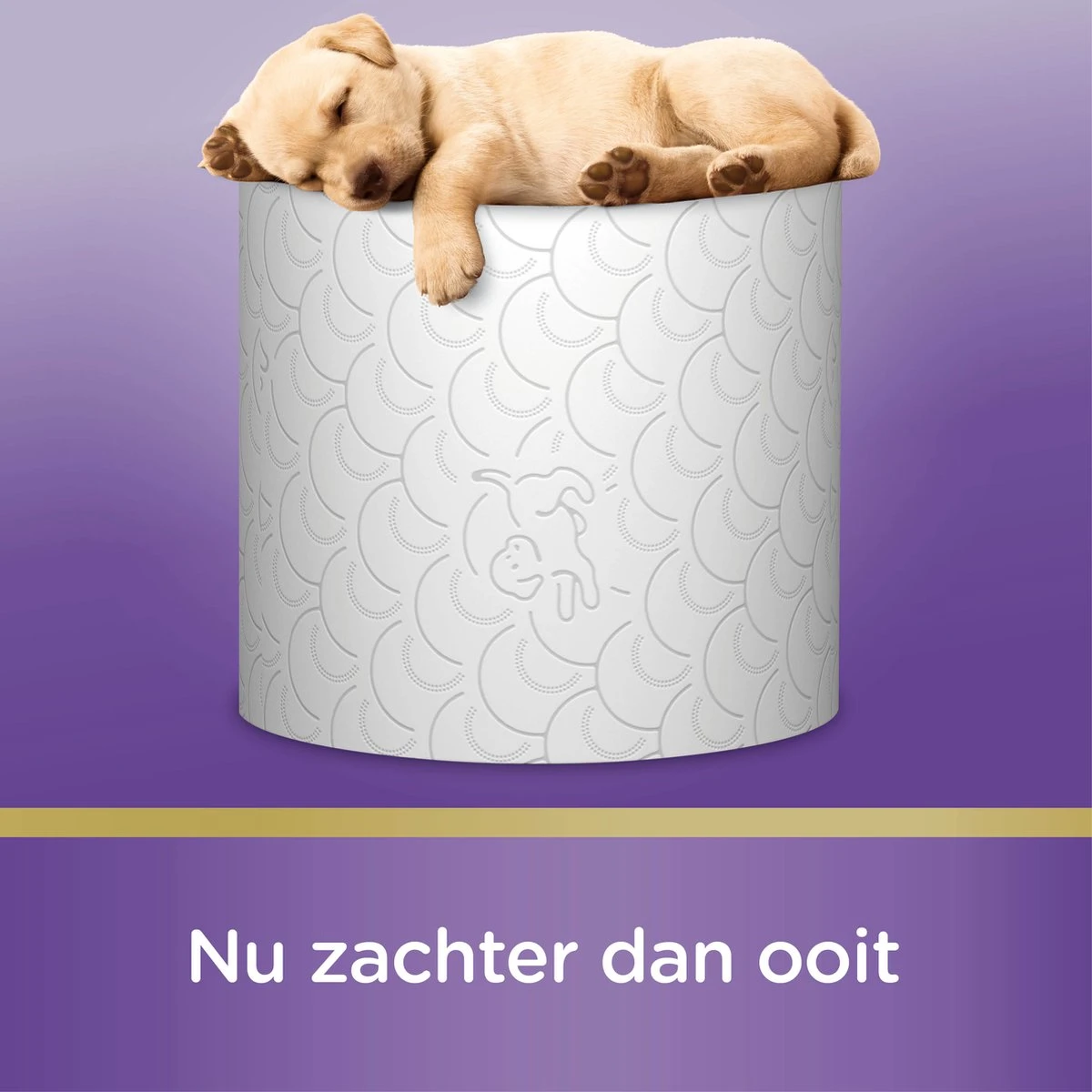 Page Toiletpapier - 42 Rollen - Kussenzacht Wc Papier (3-laags) - Voordeelverpakking 11 Page Toiletpapier - 42 Rollen - Kussenzacht Wc Papier (3-laags) - Voordeelverpakking - Afbeelding 11