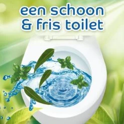 Witte Reus Pro Nature Munt Eucalyptus - 10 Stuks -Huishoudelijke Benodigdheden 1200x1200 2526