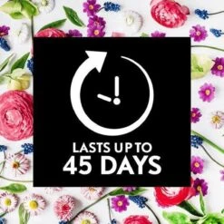 Air Wick Essential Mist Automatische Geurverspreider Luchtverfrisser - Innerlijke Rust - Navulling -Huishoudelijke Benodigdheden 1200x1200 2606