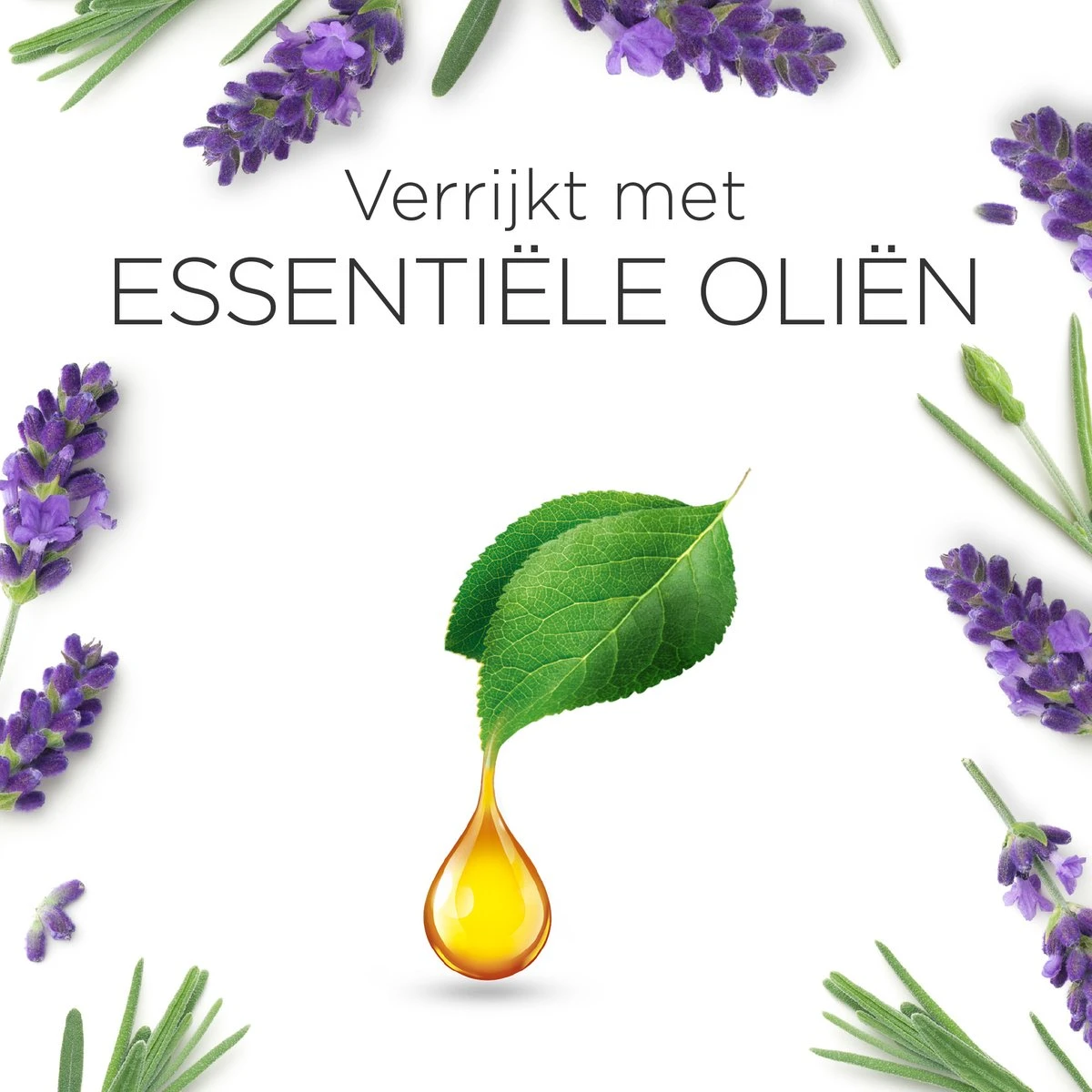 Air Wick Essential Mist Luchtverfrisser - Ontspannende Lavendel - 1 Zwart Apparaat + 2 Navullingen 7 Air Wick Essential Mist Luchtverfrisser - Ontspannende Lavendel - 1 Zwart Apparaat + 2 Navullingen - Afbeelding 7