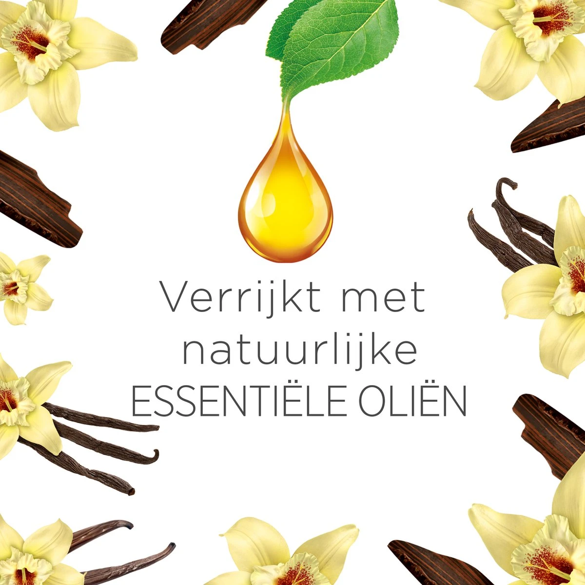 Air Wick Freshmatic Automatische Spray Luchtverfrisser - Ebbenhout & Vanille - 1 Apparaat + 2 Navullingen 2 Air Wick Freshmatic Automatische Spray Luchtverfrisser - Ebbenhout & Vanille - 1 Apparaat + 2 Navullingen - Afbeelding 2