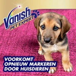 Vanish Pet Expert Schuim 600ml -Huishoudelijke Benodigdheden 1200x1200 364