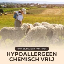 Drogerballen - Droogballen - Wasdrogerballen - Dryerballs - 6 Stuks - XL Formaat - Wol - Set -Huishoudelijke Benodigdheden 1200x1200 468