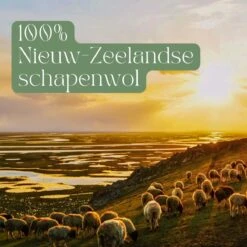 Miki's Goods® XL Wollen Drogerballen 6 Stuks - Panda Wasballen - Duurzaam - Wasbol - 100% Nieuw-Zeelandse Schapenwol - Wasbollen - Herbruikbaar- Droogballen - Snellere Droogtijd - Zuigt Dierenharen Op 14 Miki's Goods® XL Wollen Drogerballen 6 Stuks - Panda Wasballen - Duurzaam - Wasbol - 100% Nieuw-Zeelandse Schapenwol - Wasbollen - Herbruikbaar- Droogballen - Snellere Droogtijd - Zuigt Dierenharen Op -Huishoudelijke Benodigdheden 1200x1200 474