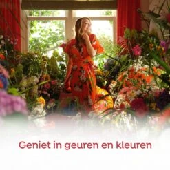 Robijn Klein & Krachtig Rosé Chique Vloeibaar Wasmiddel - 8 X 19 Wasbeurten - Voordeelverpakking 10 Robijn Klein & Krachtig Rosé Chique Vloeibaar Wasmiddel - 8 X 19 Wasbeurten - Voordeelverpakking -Huishoudelijke Benodigdheden 1200x1200 51