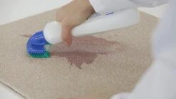 Dr. Beckmann Tapijtvlekkenborstel - Tapijtreiniging - Tapijt Vlekverwijderaar Met Borstel - Schoon Tapijt - Dierenvlekkenverwijderaar 8 Dr. Beckmann Tapijtvlekkenborstel - Tapijtreiniging - Tapijt Vlekverwijderaar Met Borstel - Schoon Tapijt - Dierenvlekkenverwijderaar -Huishoudelijke Benodigdheden 1200x674 1