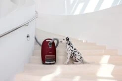 Miele Complete C3 Cat & Dog PowerLine - Stofzuiger Met Zak - Braambesrood -Huishoudelijke Benodigdheden 1200x799 95