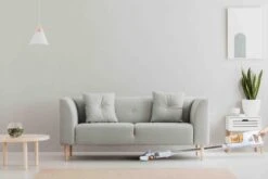 PRIMO PR500SV Stofzuiger Zonder Zak - 3-in-1 Steelstofzuiger Draadloos - Kruimelzuiger - HEPA Filter - Wit/Peach -Huishoudelijke Benodigdheden 1200x800 199