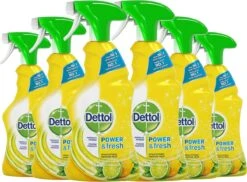 Dettol - Power & Fresh - Allesreinger Spray - Citrus - 6 X 500 Ml -Huishoudelijke Benodigdheden 1200x885 4