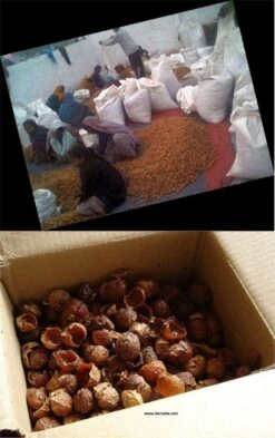 Wasnoten 750gr Met Waszakje - Zeepnoten - Natuurlijk Wassen 10 Wasnoten 750gr Met Waszakje - Zeepnoten - Natuurlijk Wassen -Huishoudelijke Benodigdheden 755x1200