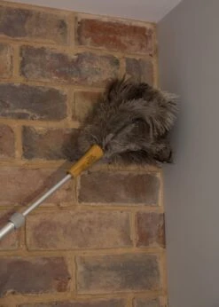 Plumeau Met Struisvogelveren, Bruin - KitchenCraft | Living Nostalgia -Huishoudelijke Benodigdheden 856x1200 5