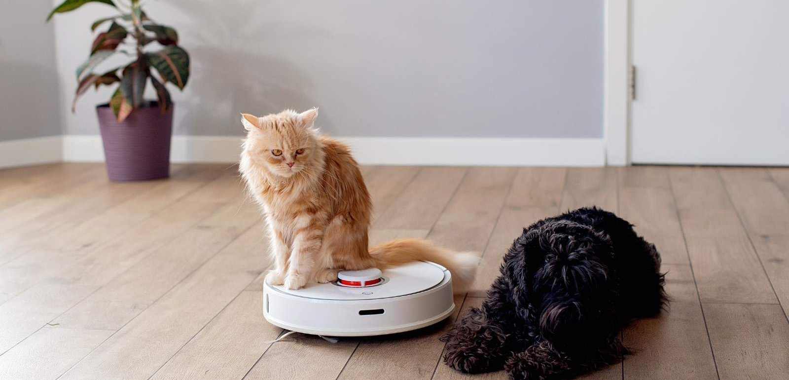 Huishoudelijke Benodigdheden -Huishoudelijke Benodigdheden 1